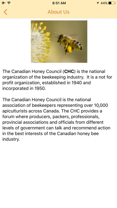 Скриншоты Honey Council