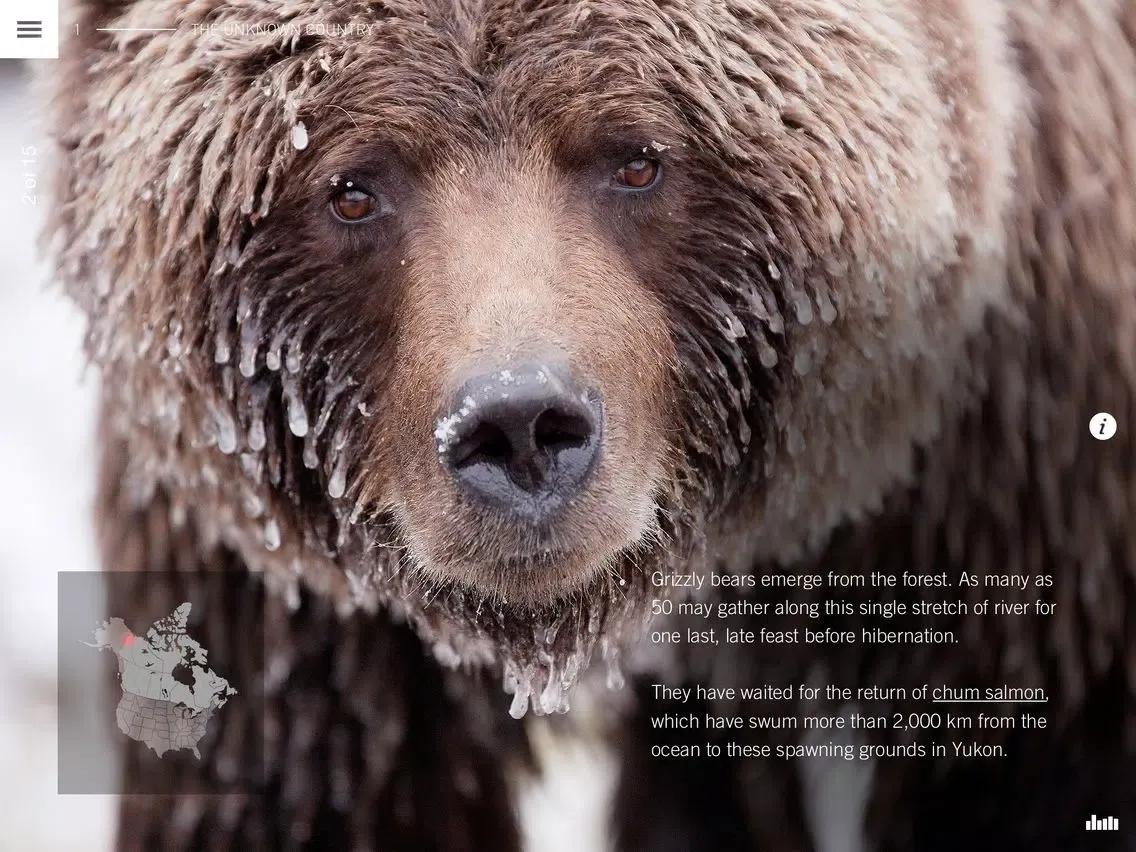 Capturas de tela do Wild Canada iPad 