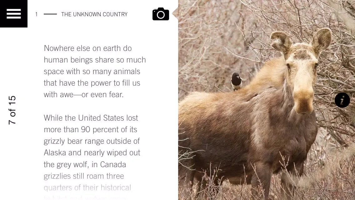 Capturas de tela do Wild Canada