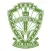 CMCC Mobile App