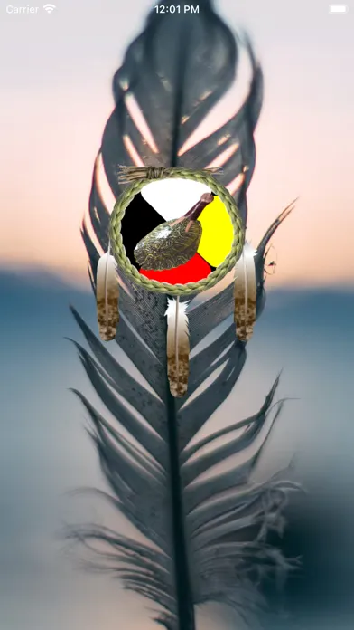 تصاویر Sheshegwaning First Nation