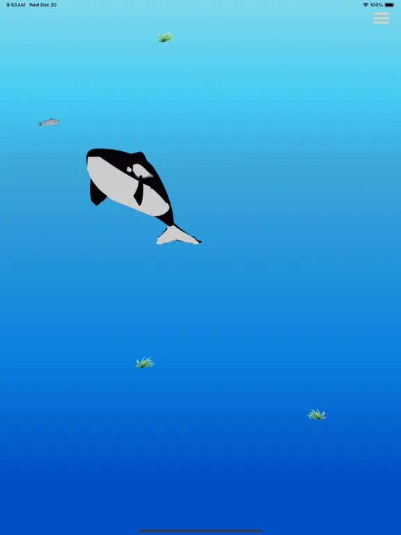 Whale Wiggle iPad  Ekran Görüntüleri