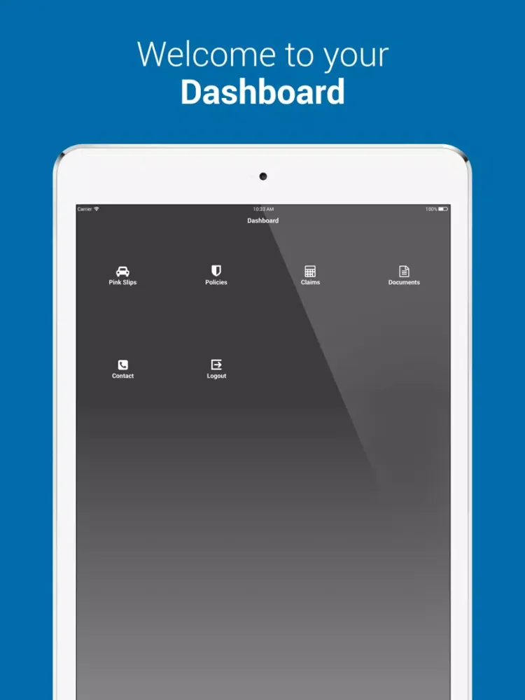 Ảnh chụp màn hình của DND Insurance iPad 