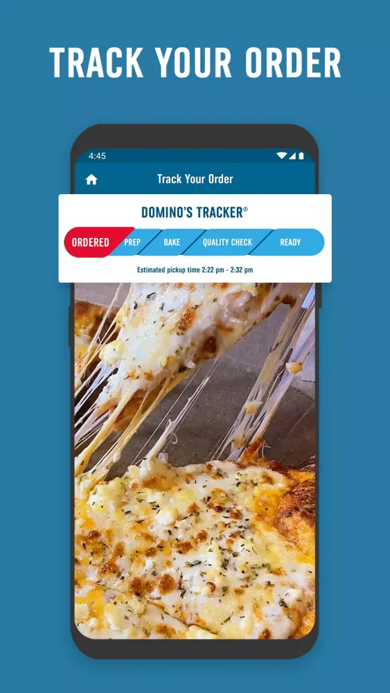 Tangkapan layar Domino's Canada