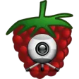 RPi Camera Viewer