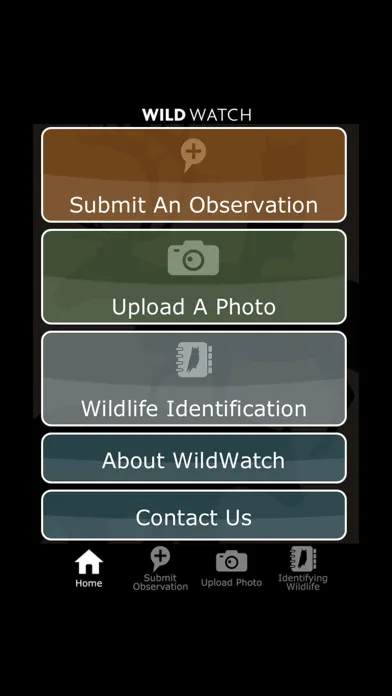Tangkapan skrin Wild Watch