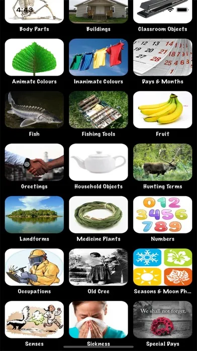 Learn DL Woodland Cree應用截圖