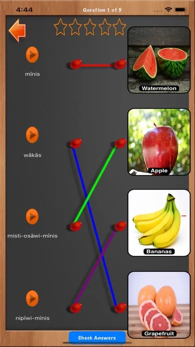 Learn DL Woodland Cree應用截圖