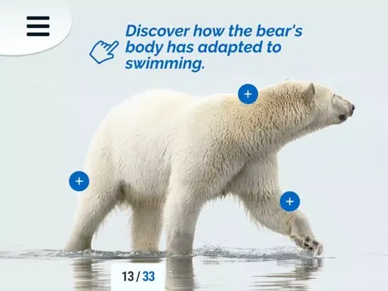 Discover the Arctic iPad 应用截图