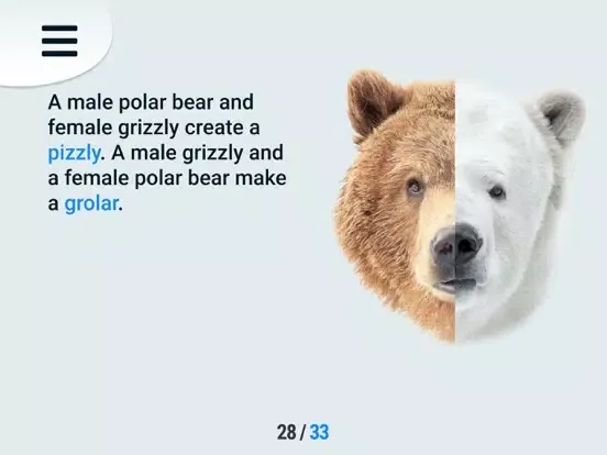 Discover the Arctic iPad 应用截图