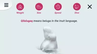 Discover the Arctic应用截图