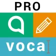 Dictée de mots Alloprof - Pro