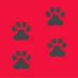 Dog Breed Camera