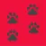 Dog Breed Camera