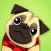 Pug Dog Emoji Stickers