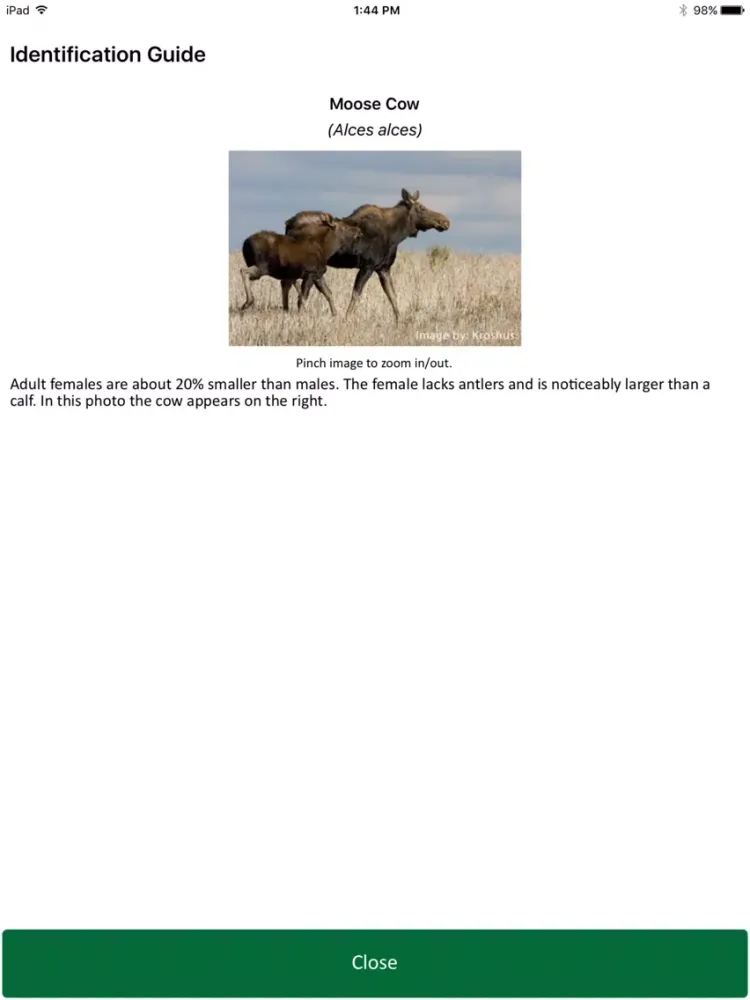 Saskatchewan Wildlife Survey iPad  Screenshots