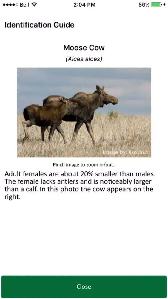 Saskatchewan Wildlife Survey Screenshots