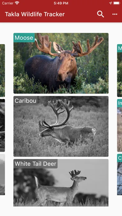 Takla Wildlife Tracker应用截图