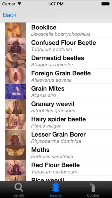 Insects in Stored Grain應用截圖