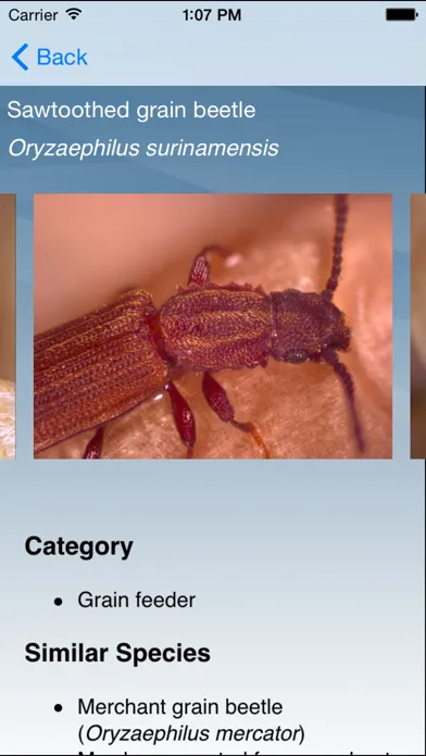 Insects in Stored Grain應用截圖