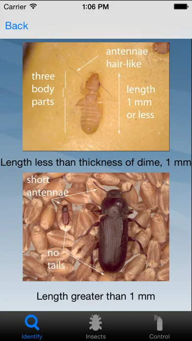 Insects in Stored Grain應用截圖