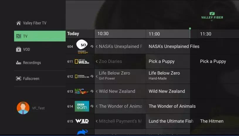 Tangkapan layar Valley Fiber TV