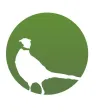 Caccia in fiera