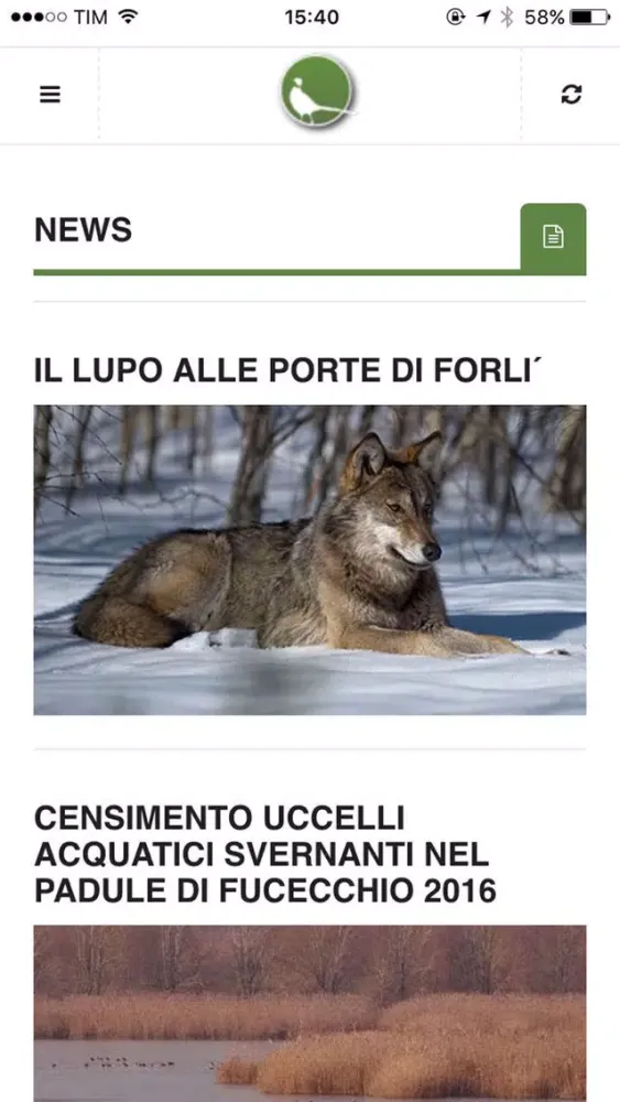 Скриншоты Caccia in fiera