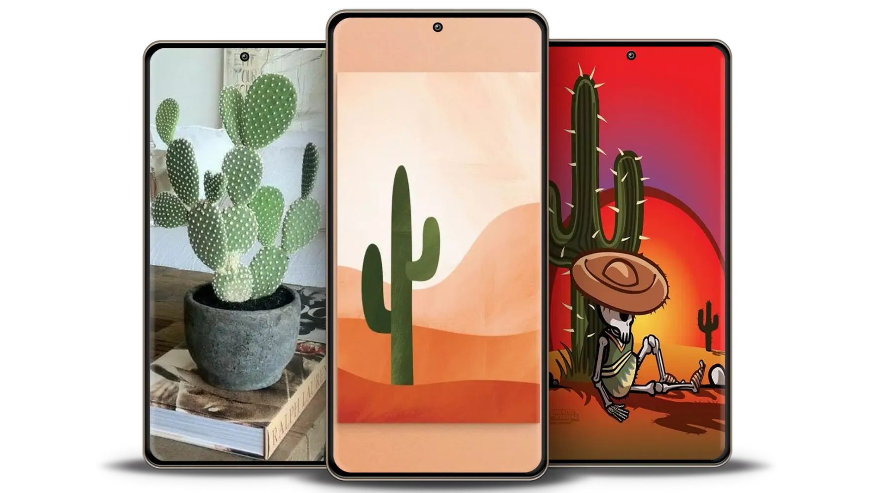 Скриншоты Cute Cactus Wallpapers