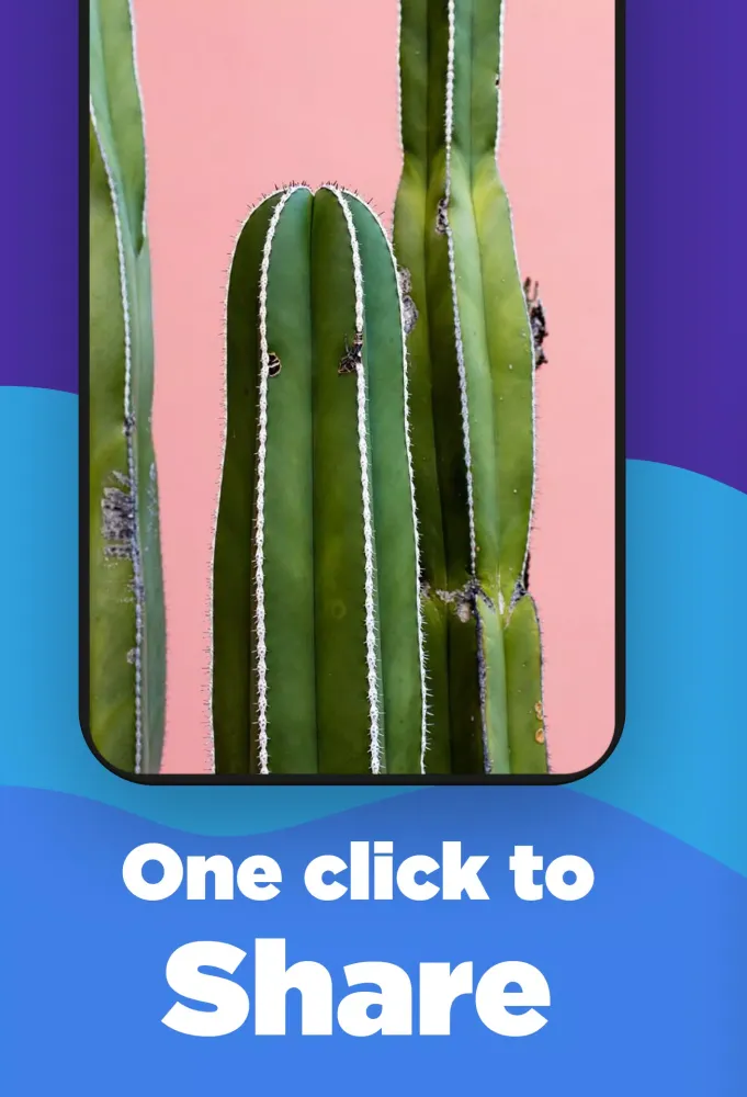 Скриншоты Cute Cactus Wallpapers