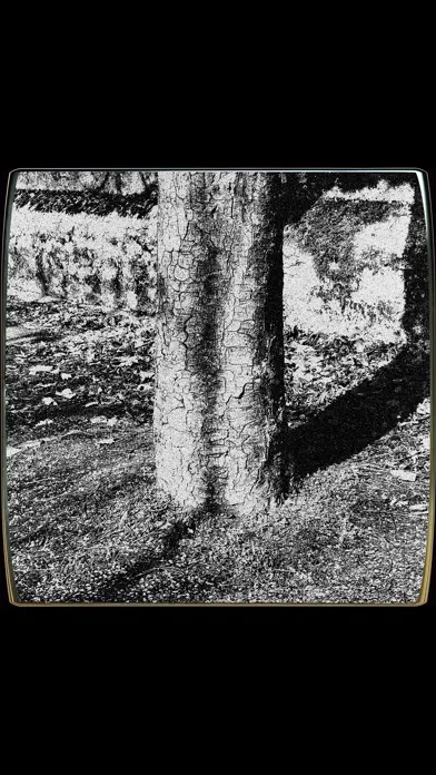 Capturas de pantalla de Vica Vintage Camera Simulator