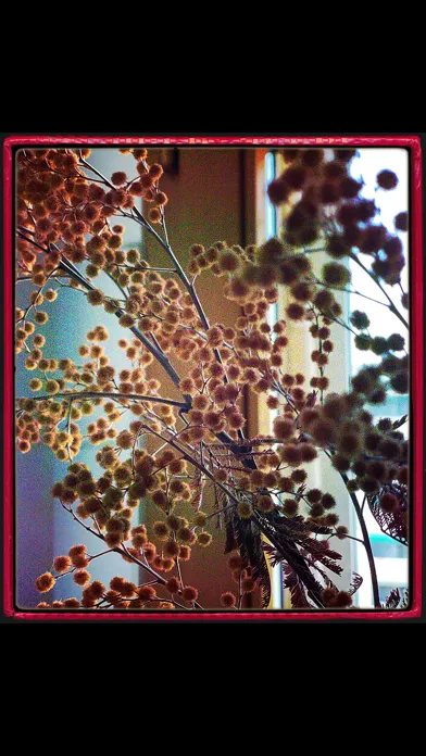 Capturas de pantalla de Vica Vintage Camera Simulator