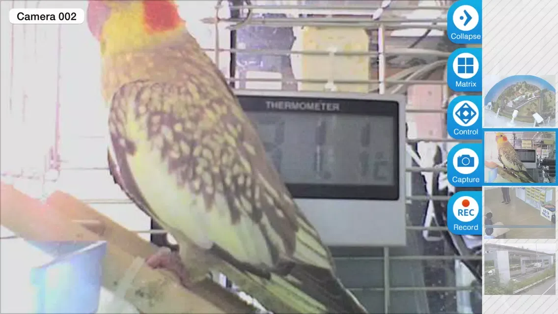 Скриншоты Viewer for TRENDnet IP cameras