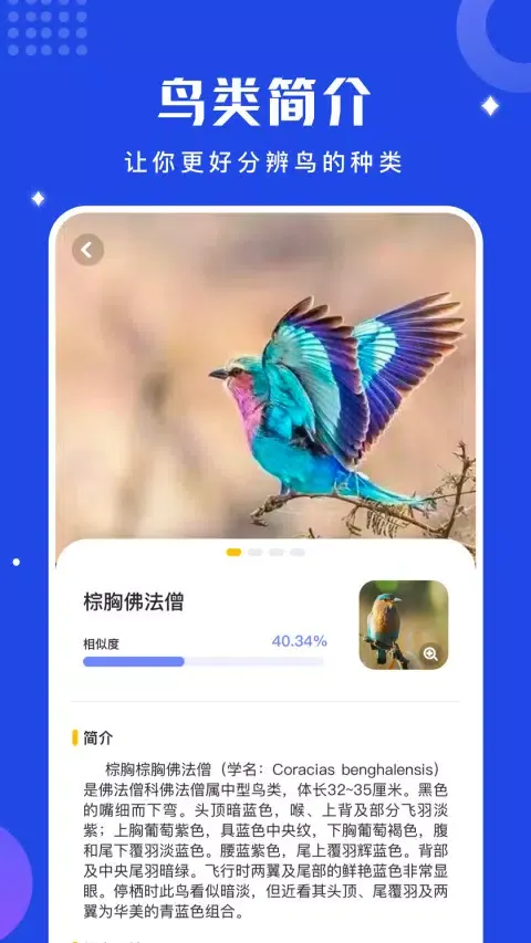 鸟语语言翻译器 스크린샷