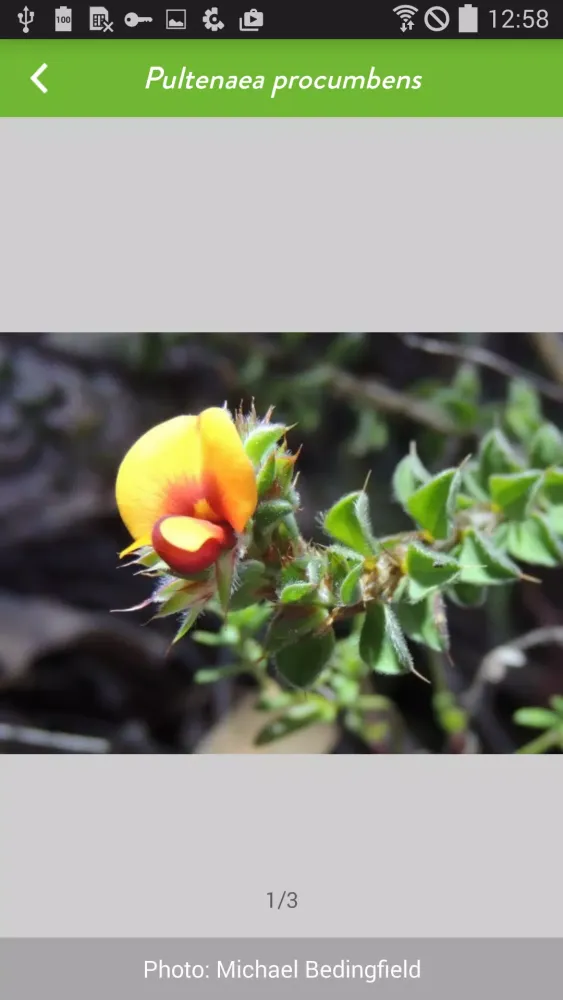 NatureMapr Screenshots