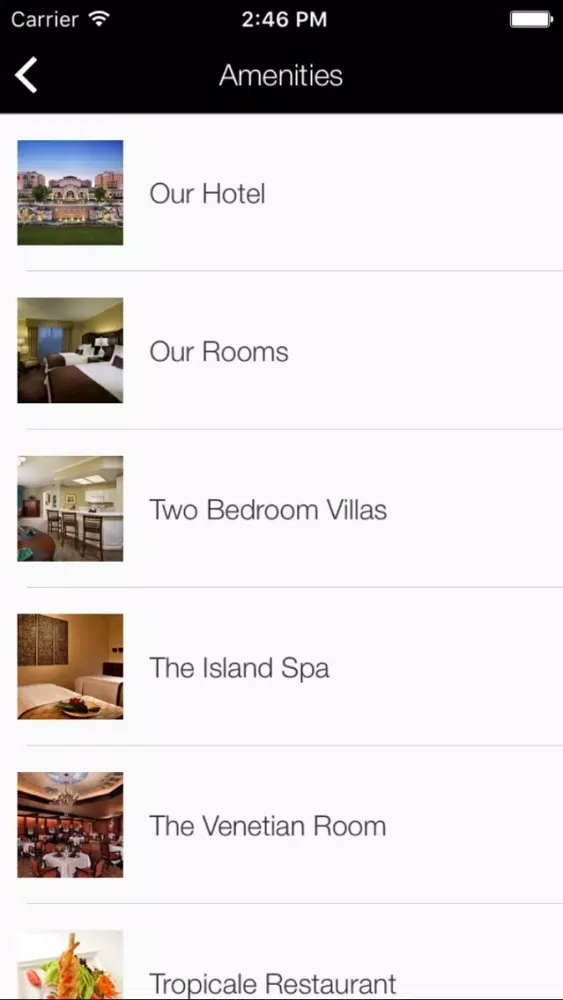 The Caribe Hotels Screenshots