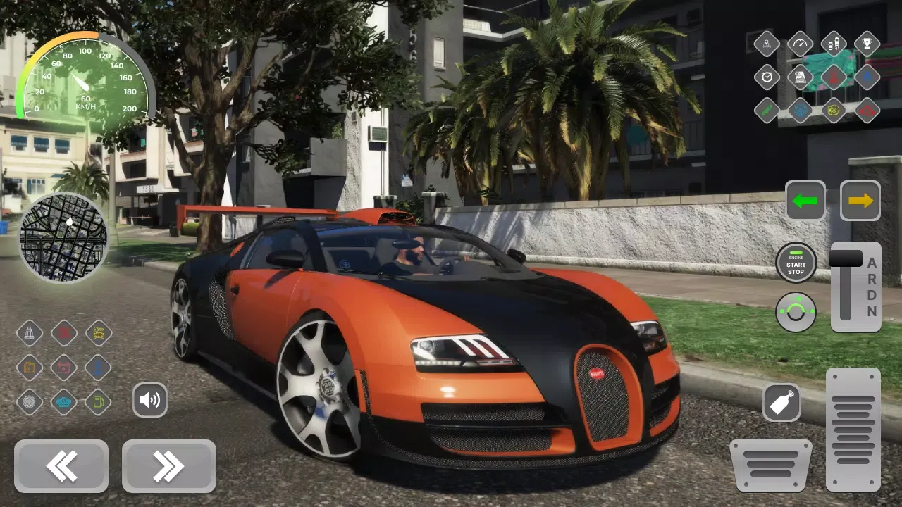 Veyron Supercar Bugatti Racing Screenshots