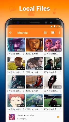 Cast to TV/Chromecast/Roku スクリーンショット