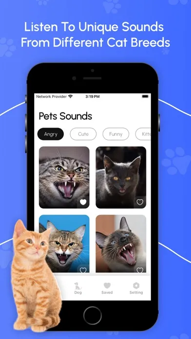 Скриншоты Cat Sounds & Dog Sounds - All