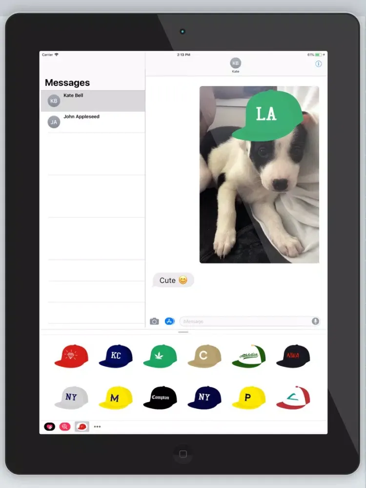 Swag Fitted Caps iPad 应用截图