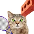 Cat Tennis - Relax Challenge