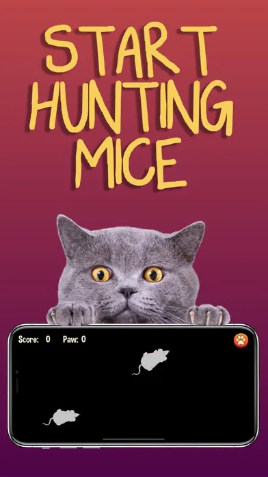 Capturas de tela do Cat Games