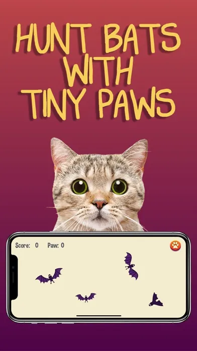 Capturas de tela do Cat Games
