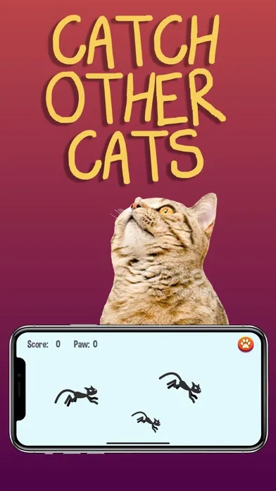 Capturas de tela do Cat Games