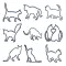 猫のしっぽウィジェット