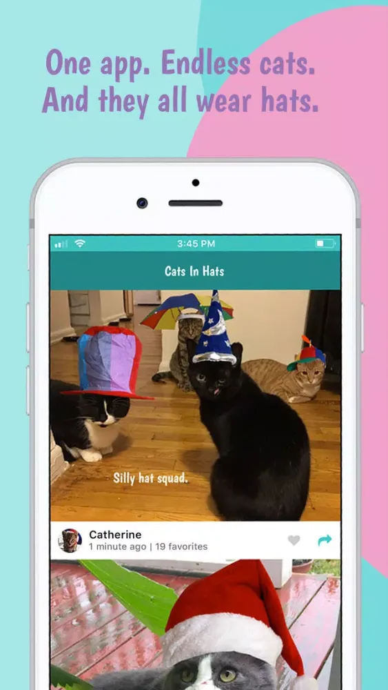 Cats In Hats スクリーンショット