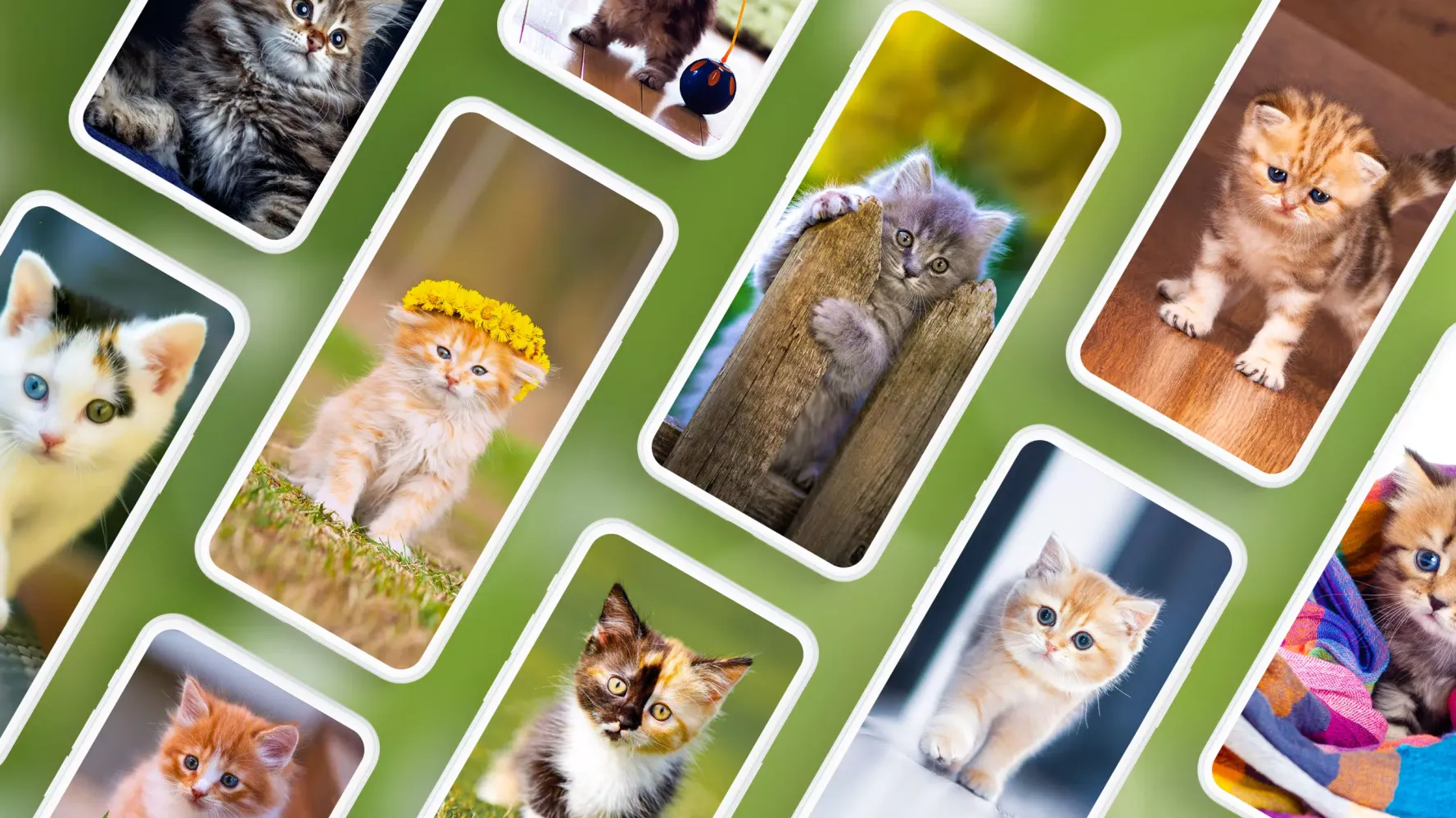 Cat Wallpapers & Cute Kittens Screenshots