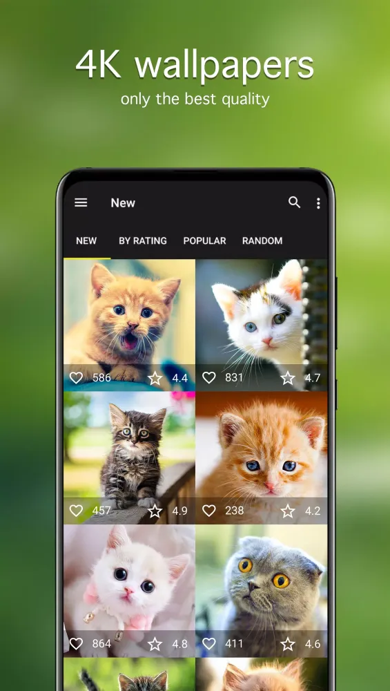 Cat Wallpapers & Cute Kittens Screenshots