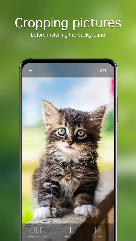 Cat Wallpapers & Cute Kittens Screenshots