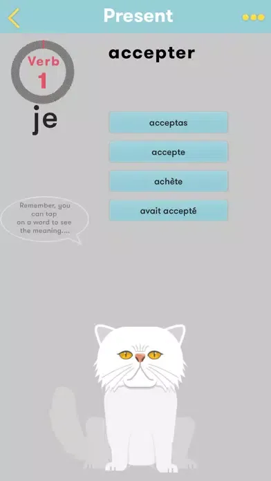 Captures d'écran de CatsAndVerbs - French verbs!